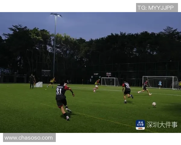 深圳足球队荣登速度排行榜第一名引发热议