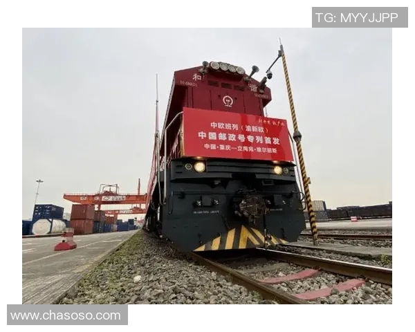 重庆排球队实力飙升创历史新高引发全国关注与期待 重庆排球队实力飙升创历史新高引发全国关注与期待