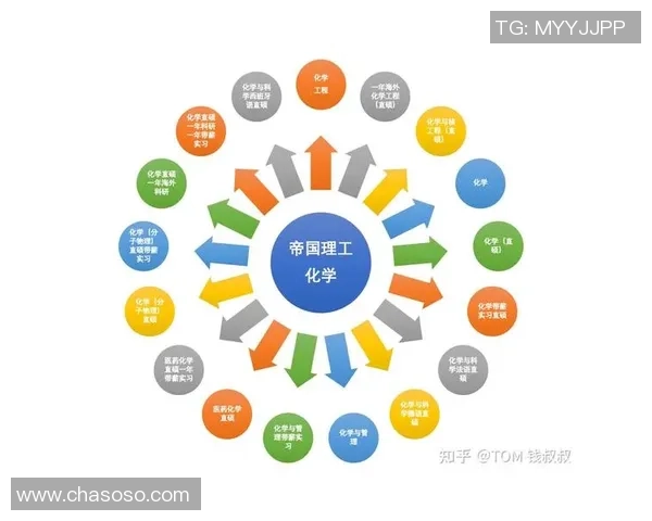 南京排球队战术解析：聚焦技术与团队协作的完美结合
